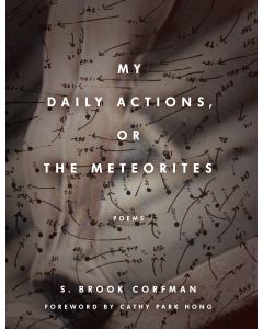 My Daily Actions, or The Meteorites