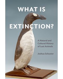 What Is Extinction?