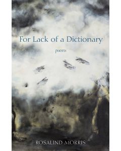 For Lack of a Dictionary