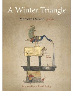 A Winter Triangle
