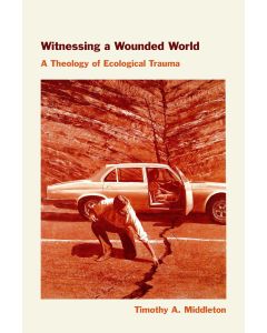 Witnessing a Wounded World