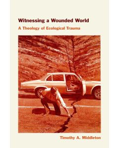 Witnessing a Wounded World