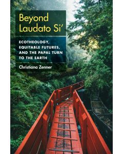Beyond Laudato Si'