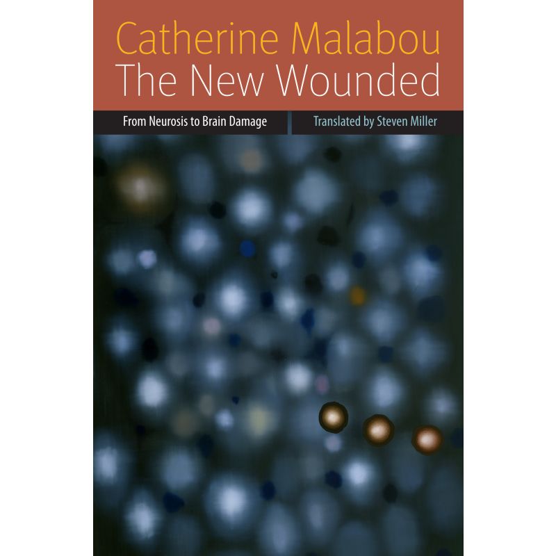https://fordhampress.com/the-new-wounded-hb-9780823239672.html social preview image