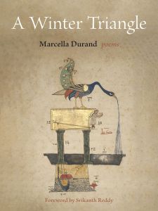 A Winter Triangle
