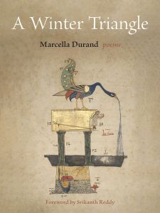 A Winter Triangle